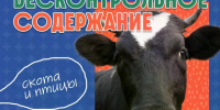 Бесконтрольное содержание скота и птицы.. - Город Адыгейск