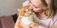 Почему целовать кошек — не лучшая затея - ОКА-ФМ