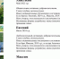 ИЩУ МАМУ! ПОМОГИТЕ ДЕТЯМ ОБРЕСТИ ЛЮБОВЬ И ЗАБОТУ. - Макушинский муниципальный округ