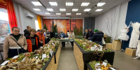 «Планету грибов» откроют в Ботаническом саду1 - Культура Петербурга