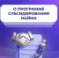 Отвечаем на вопросы о программе субсидирования найма. - Новоселицкий округ