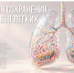 Неделя сохранения здоровья легких. - Бабаевский муниципальный округ