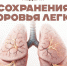 С 21 по 27 сентября в Приморье проходит Неделя сохранения здоровья лёгких.. - Администрация Артёмовского городского округа