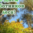 Поздравляем с Днём работников леса!. - Любинский район