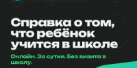 Как получить справку об обучении в школе дистанционно? - Департамент образования