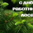 С Днем работников леса!. - Онежский муниципальный округ