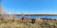 Акция «Чистый берег Енисея». - Игарский городской суд