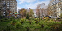 Прогноз погоды в Мурманске на 23 сентября - Murman.Ru