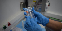 Мошенники рассылают фейковые приглашения на вакцинацию - Smitanka.Ru