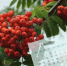 23 сентября в календаре: день осеннего равноденствия, день дорожных войск ВС РФ - AmurMedia.Ru