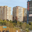 В Ангару выпустили 10 тысяч мальков - Baikal24.Ru