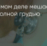 Поделитья во ВКонтакте - Братская Студия Телевидения