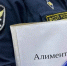 Амурчанка погасила долг по алиментам в 700 000 рублей под угрозой обязательных работ - Asn24.Ru