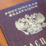 В 2026 году 973 иностранца в Тульской области получили гражданство РФ - ИА Тульская служба новостей