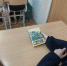 Мёд, книги и пчёлы: необычный урок о профессии пасечника - ЦБС Ашинского района
