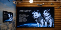 В 2027 году в Алтайском крае появятся четыре детских культурно-просветительских центра - Законодательное Собрание
