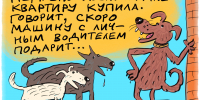 Апартаменты для собаки - Газета Номер один