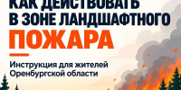 В Оренбургской области действует особый противопожарный режим — он продлится до 9 октября 2026 года - Time56.Ru