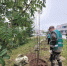 Аллея Журналистов обновляется - Газета Варта
