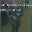 Поделитья во ВКонтакте - Братская Студия Телевидения