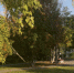 Тёплые лучи солнца раскрасили осенний день в Камских Полянах - Газета Посинформ