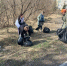 Объявлена дата общегородского субботника - Газета Навигатор