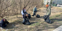 Объявлена дата общегородского субботника - Газета Навигатор