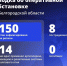 Восемь человек пострадали при атаках ВСУ на Белгородчину за минувшие сутки - Сетевое издание Ясный ключ