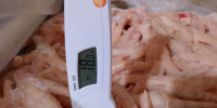 В Китай и ОАЭ отправили рыбную продукцию и куриные лапки из Екатеринбурга - КП Екатеринбург
