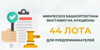 Минлесхоз Башкортостана выставил на аукционы 44 лота для предпринимателей - Министерство лесного хозяйства