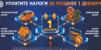 1 декабря — срок уплаты налогов - Сабинский район