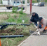 Максим Леонов рассказал о мероприятиях по благоустройству Энгельса - Газета Репортер