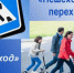 На территории Камешкирского района состоится профилактическое мероприятие «Пешеход», «Пешеходный переход» - Камешкирский район
