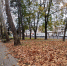 23 сентября — День осеннего равноденствия - Газета Новороссийский рабочий