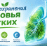 Неделя сохранения здоровья лёгких - Сетевое издание Киришский факел