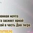 Телевизионная мачта Оренбурга засияет яркой подсветкой в честь Дня тигра - Администрация города