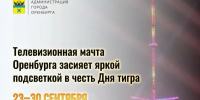 Телевизионная мачта Оренбурга засияет яркой подсветкой в честь Дня тигра - Администрация города