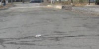 Новокузнечанка засудила дорожников из-за крышки люка, ударившей по машине - ИА Город Новостей