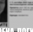 Фото: «Лиза Алерт» - Мой район