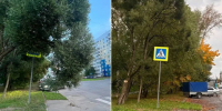 За неделю через ПОС вологжане направили 684 сообщения - OnlineVologda.Ru