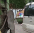 Из‑за припаркованных машин срывается вывоз мусора - Prokopievsk.ru