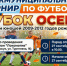 "Кубок осени": на стадионе "Локомотив" соберутся лучшие юные футболисты! - Карасукский район