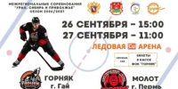 Приглашаем на хоккей! - Гайский городской округ