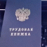 В России появится новый индикатор риска подмены трудовых отношений с самозанятыми - Бирский район