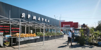 ярмарка. - Губкинский городской округ