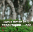 Арктическое путешествие. - Онежский муниципальный округ