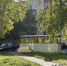 ​Теплая осень разбудила мошкару в Сургуте - ИА СИА-Пресс