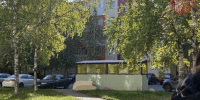 ​Теплая осень разбудила мошкару в Сургуте - ИА СИА-Пресс