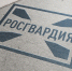 Прямая линия по вопросам службы в Росгвардии состоится в столице Карелии - Росгвардия