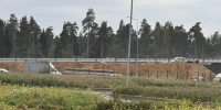 Картинка - Regions.Ru